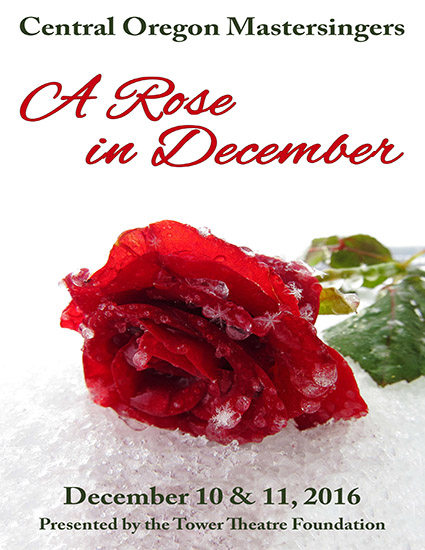 A Rose in December - Christmas 2016